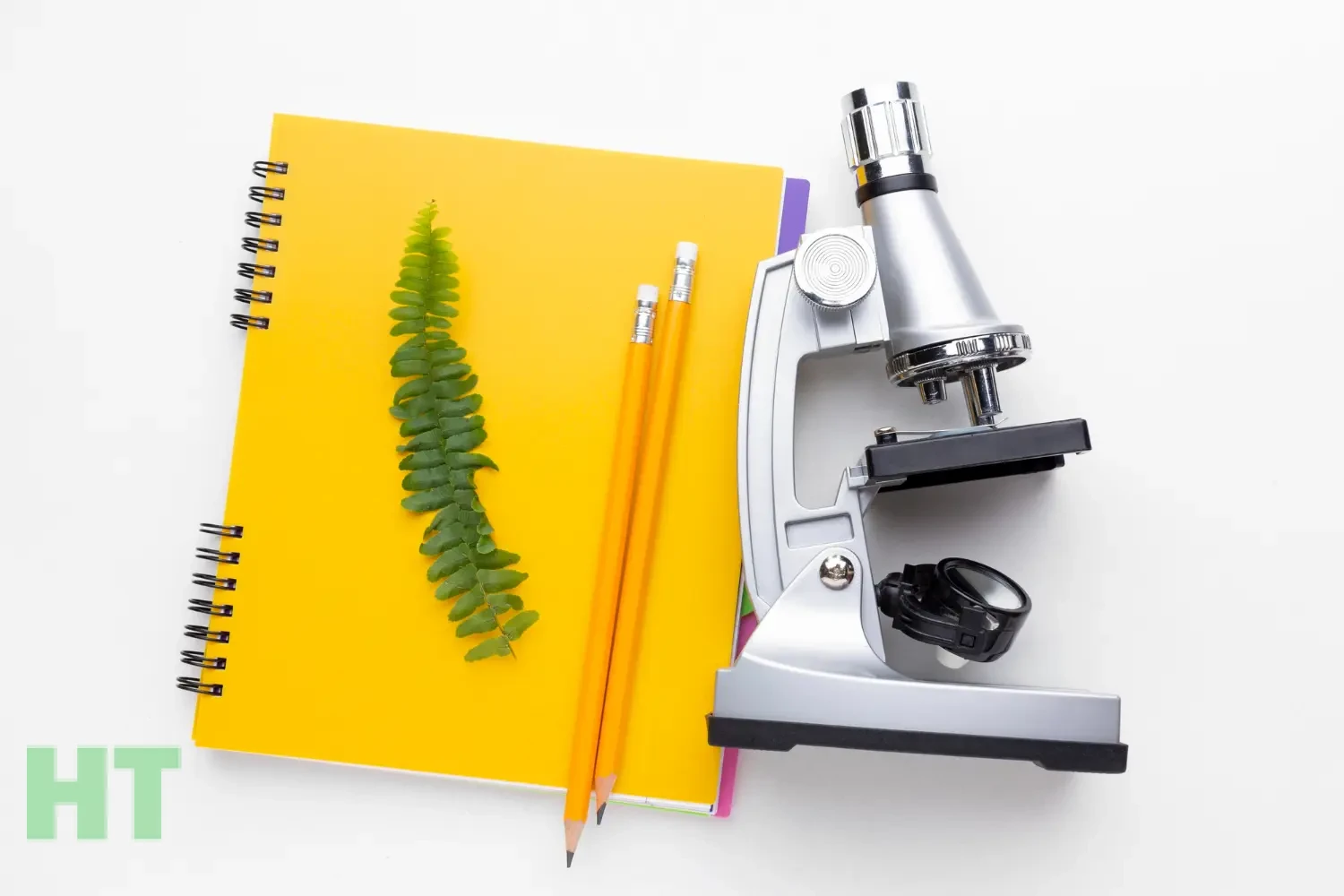 موضوع پایان نامه زیست شناسی