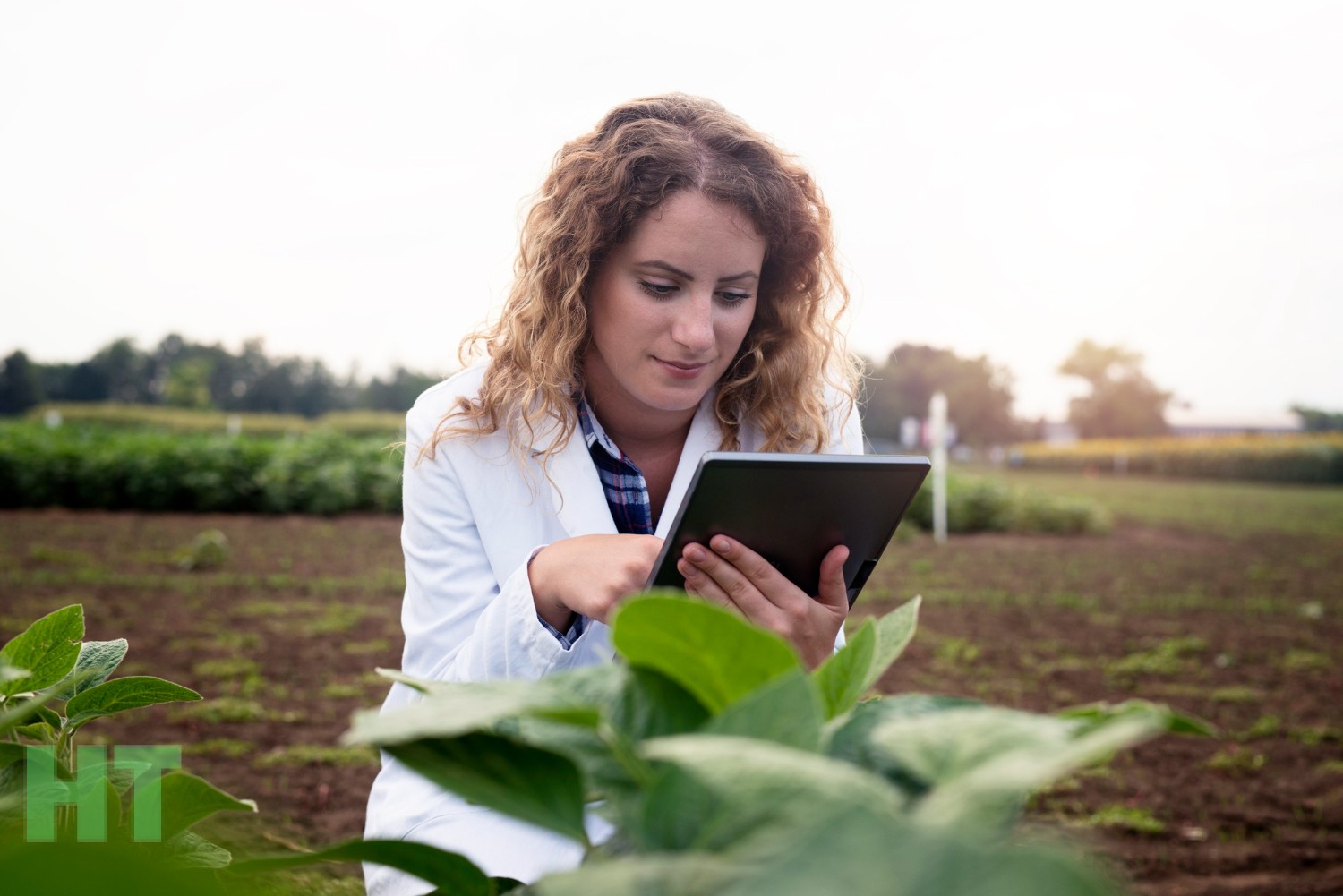 رساله کشاورزی